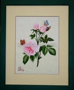 Hoa hồng bướm - FL-042b