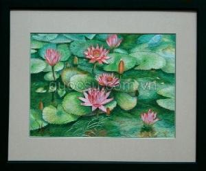 Hồ súng hồng - FL-026a
