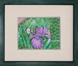 Hoa diên vĩ - FL-010