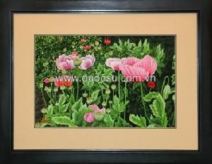 Hoa anh túc 6 - FL-166