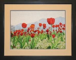 Vườn hoa tulip 2 - FL-167