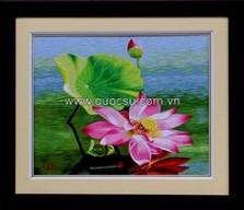 Sen hồng 3 - QS.đ-101