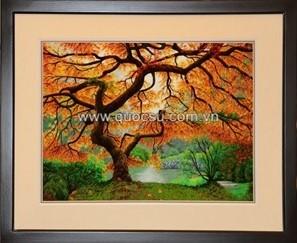 Rừng phong - PA-156b