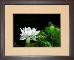 Sen trắng 7 - FL-173