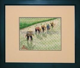 Cấy lúa - VN-010a