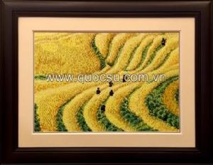 Ruộng bậc thang Sapa - VN-002