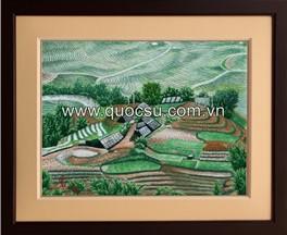 Ruộng bậc thang Sapa - VN-003b